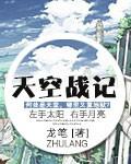 天空战记高清版