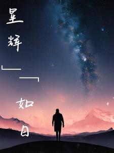 星月如辉意思