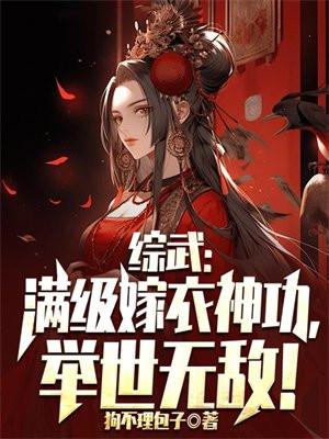 综武满级嫁衣神功举世无敌TXT