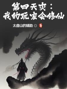 玩家从来不听话[第四天灾