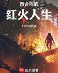 四合院的红火人生无错版