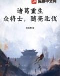 诸葛将军