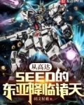 从高达seed的东亚降临诸天第九十五章