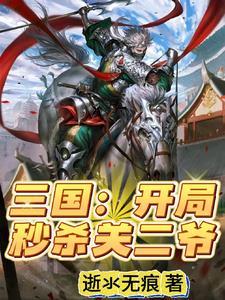 三国之黄巾渠帅