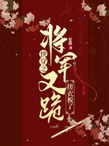 将军在上快穿