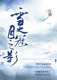 冠之雪原全图鉴收集