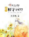 重生相守1977txt免费