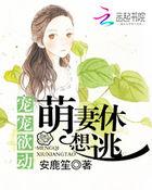 暖婚蜜爱盛宠小甜妻电视剧