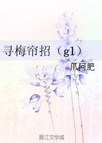 寻梅帘招 爪阿肥