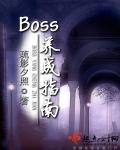 BOSS养成指南免费阅读