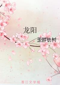 龙阳之兴