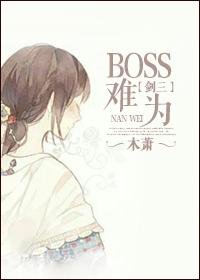 剑网三boss面向怎么调