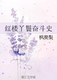 红楼丫鬟奋斗史听书