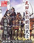 武田家的明国武士精校TXT