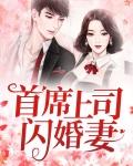 首席上司闪婚妻