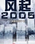 风起2005